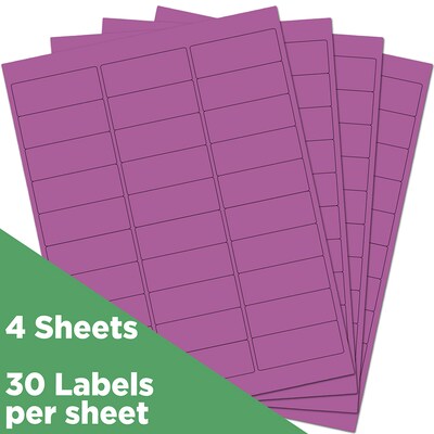 JAM Paper Laser/Inkjet Mailing Address Label, 1" x 2 5/8", Purple, 30 Labels/Sheet, 4 Sheets/Pack (302725788)