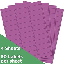 JAM Paper Laser/Inkjet Mailing Address Label, 1 x 2 5/8, Purple, 30 Labels/Sheet, 4 Sheets/Pack (3