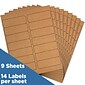 JAM Paper Address Labels, 1 1/3" x 4" , Brown Kraft, 14 Labels/Sheet, 9 Sheets/Pack (359330336)