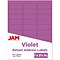 JAM Paper Laser/Inkjet Mailing Address Label, 1 x 2 5/8, Purple, 30 Labels/Sheet, 4 Sheets/Pack (3