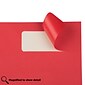 JAM Paper Laser/Inkjet Address Labels, 1" x 2 5/8", Red, 30 Labels/Sheet, 4 Sheets/Pack (4514939)