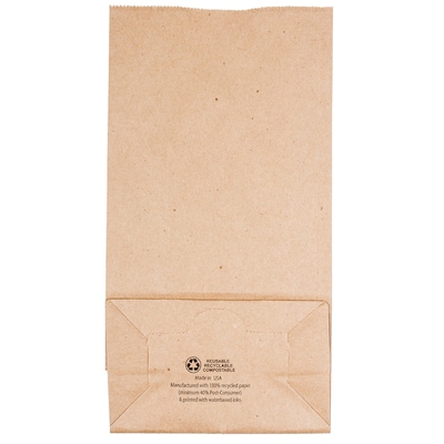 JAM Paper Kraft Lunch Bags, Medium, 5" x 9.75" x 3", Brown Kraft Recycled, Bulk 500 Bags/Box (691KRBRB)
