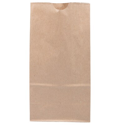 JAM Paper Kraft Lunch Bags, Medium, 9.75 x 5 x 3, Brown Kraft Recycled, 25/Pack (691KRBR)
