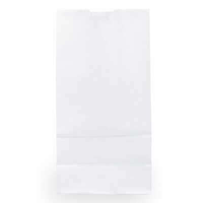 JAM Paper Kraft Lunch Bags, Medium, 9.75" x 5" x 3", White, 25/Pack (691KRWH)