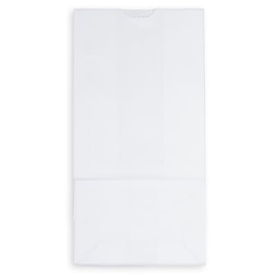 JAM Paper Kraft Lunch Bags, Medium, 9.75" x 5" x 3", White, 25/Pack (691KRWH)