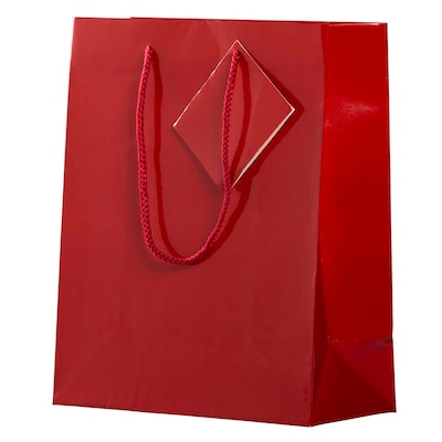 JAM Paper Glossy Gift Bag, Medium, Red, 6 Bags/Pack (672GLrea)