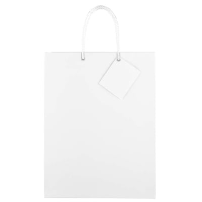 JAM Paper® Glossy Gift Bags, Large, 10 x 13 x 5,White, 6/pack (673GLwha)