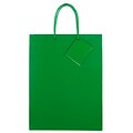 JAM Paper 10 x 13 x 5 Paper Gift Bags, Green, 6 Bags/Pack (673GLgra)