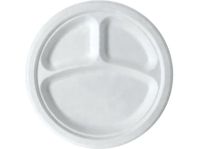 Eco-Products Vanguard Sugarcane Plate, 10, White, 500/Carton (EP-P007NFA)