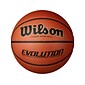 Wilson Sports Evolution Basketball, Brown (Wtbo516)