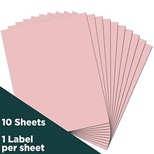 JAM Paper® Shipping Labels, 8 1/2 x 11, Baby Pink, 1 Label/Sheet, 10 Sheets/Pack (337628615)