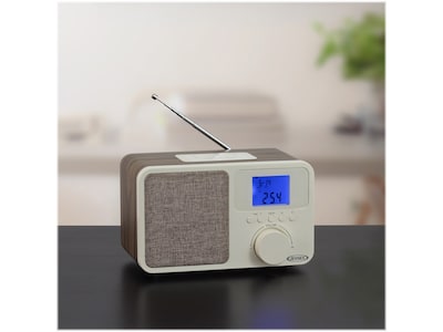 Jensen JCR-315 Digital AM/FM Dual Alarm Clock Radio, Beige/Brown