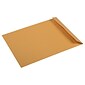 JAM Paper Premium Catalog Envelope, 10" x 13", Brown Kraft Manila, 100/Pack (V018286)