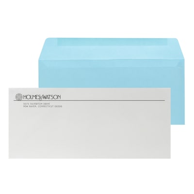 Custom Inserted Envelope Pack, #10 Regular Envelope and #9 Barcode Blue Reply Envelope, 1 Standard I