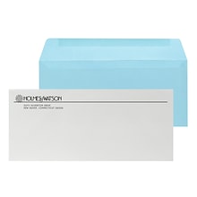 Custom Inserted Envelope Pack, #10 Regular Envelope and #9 Barcode Blue Reply Envelope, 1 Standard I