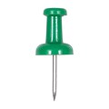 JAM Paper Push Pins, Green, 100/Pack (2242954)
