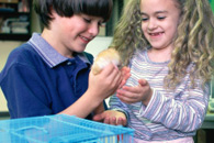 Pets in the Classroom