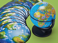 Butterflies & Caterpillars: 