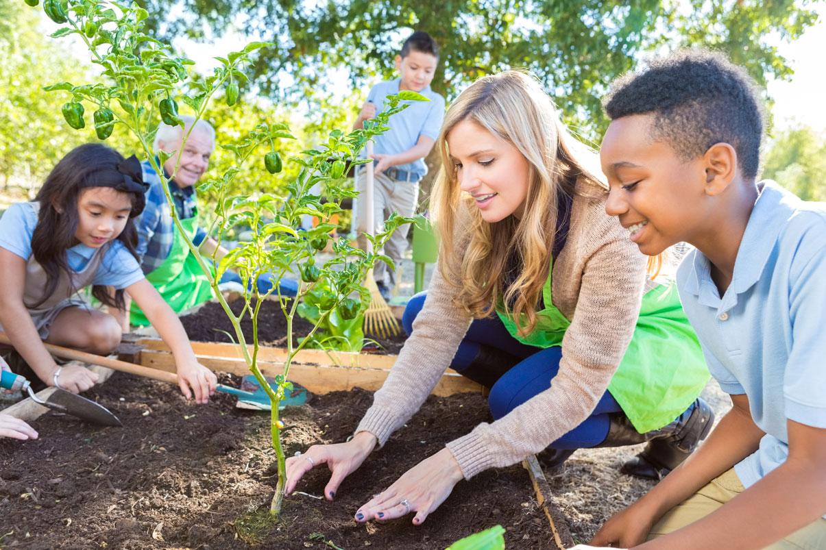 Teacher and students working in a garden