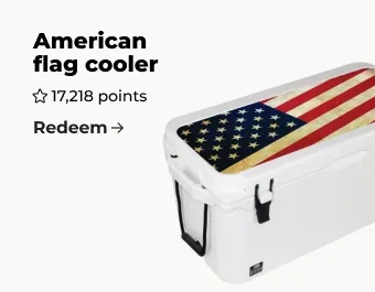 Image of cooler with American flag