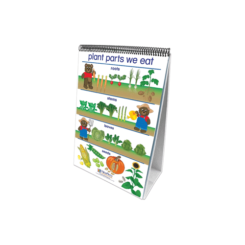 Wall & flip charts