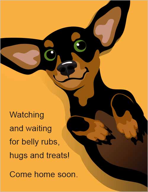 Office morale–pets dog on gold background