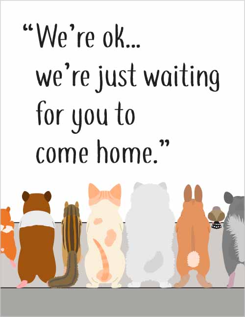 Office morale–pets various pets