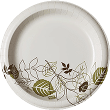 Shop Paper Plates, Bulk Amounts, for All Occasions