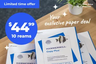Image of Hammermill paper