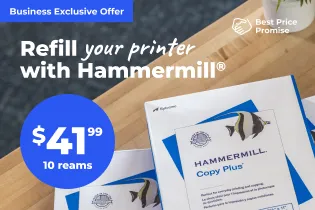 Image of Hammermill paper
