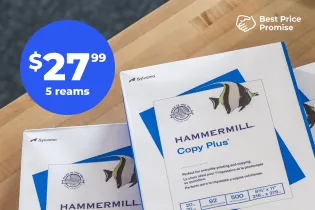 Image of HP paper