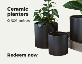 Ceramic planters