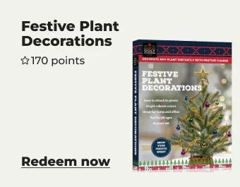 Festive plant decorations