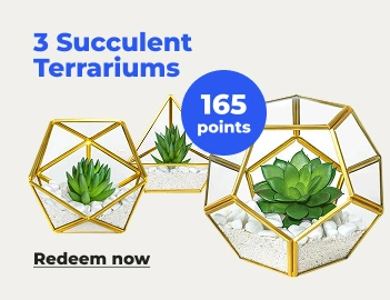 Redeem now: 3 succulent Terrariums - 165 pts