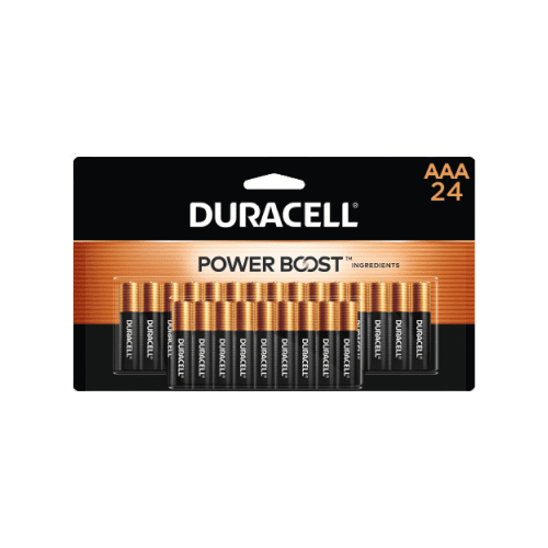Duracell Coppertop AAA Alkaline Battery, 24/Pack (MN2400B240002)