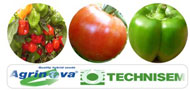 Agrinova Co logo