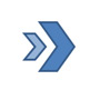 Syed Professional Services logo