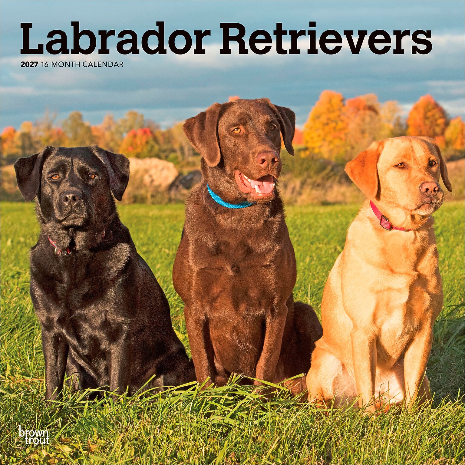 2027 BrownTrout Labrador Retrievers 12 x 12 Monthly Wall Calendar (9798330712540)