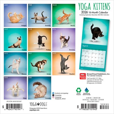 2026 BrownTrout Yoga Kittens 7 x 7 Monthly Wall Calendar (9798330701940)