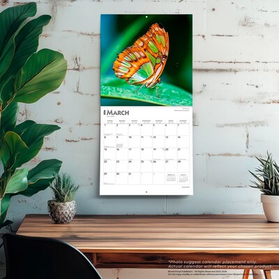 2026 BrownTrout Butterflies 12" x 12" Monthly Wall Calendar (9798330702695)