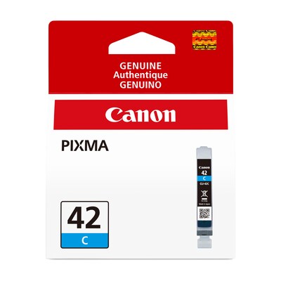 Canon 42 Cyan Standard Yield Ink Cartridge (6385B002)