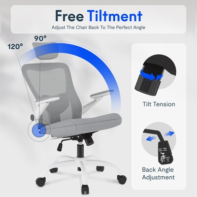 FlexiSpot Pro Comfort Swivel Computer and Desk Chair, Gray (OC1GY-SD-DP)