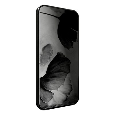 cellhelmet Tempered Glass Screen Protector for iPhone 17 Pro (CHELST122C000)
