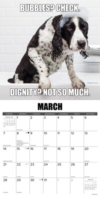 2027 Willow Creek Not So Pawsitive  12" x 12" Monthly Wall Calendar (61572)