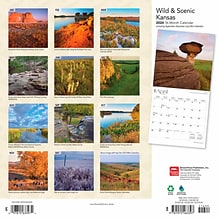 2024 BrownTrout Kansas Wild & Scenic 12 x 24 Monthly Wall Calendar (9781975463397)