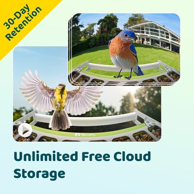 Birdfy Smart Bird Feeder with Camera, Solar Panel and AI by Subscription, Green (EPPAMBNI8172100)