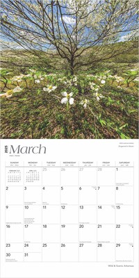 2025 BrownTrout Arkansas Wild & Scenic 12" x 12" Monthly Square Wall Calendar (9781975474478)
