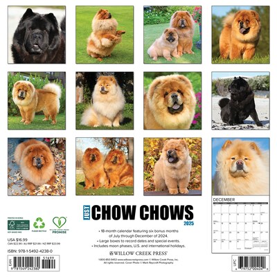 2025 Willow Creek Just Chow Chows 12 x 12 Monthly Wall Calendar (42380)