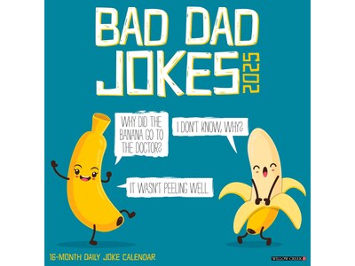 2025 Willow Creek Bad Dad Jokes 12" x 12" Monthly Wall Calendar (41567)
