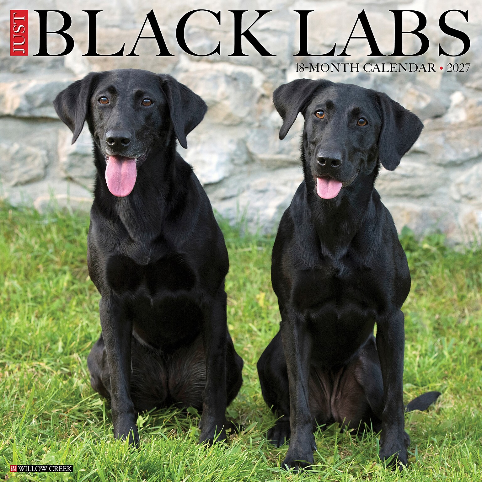 2027 Willow Creek Black Labs 12 x 12 Monthly Wall Calendar, Assorted Colors (59272)
